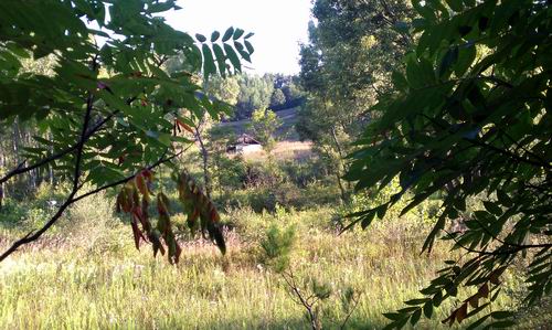 Manchester Speedway - Summer 2011 From Captain Bid (newer photo)